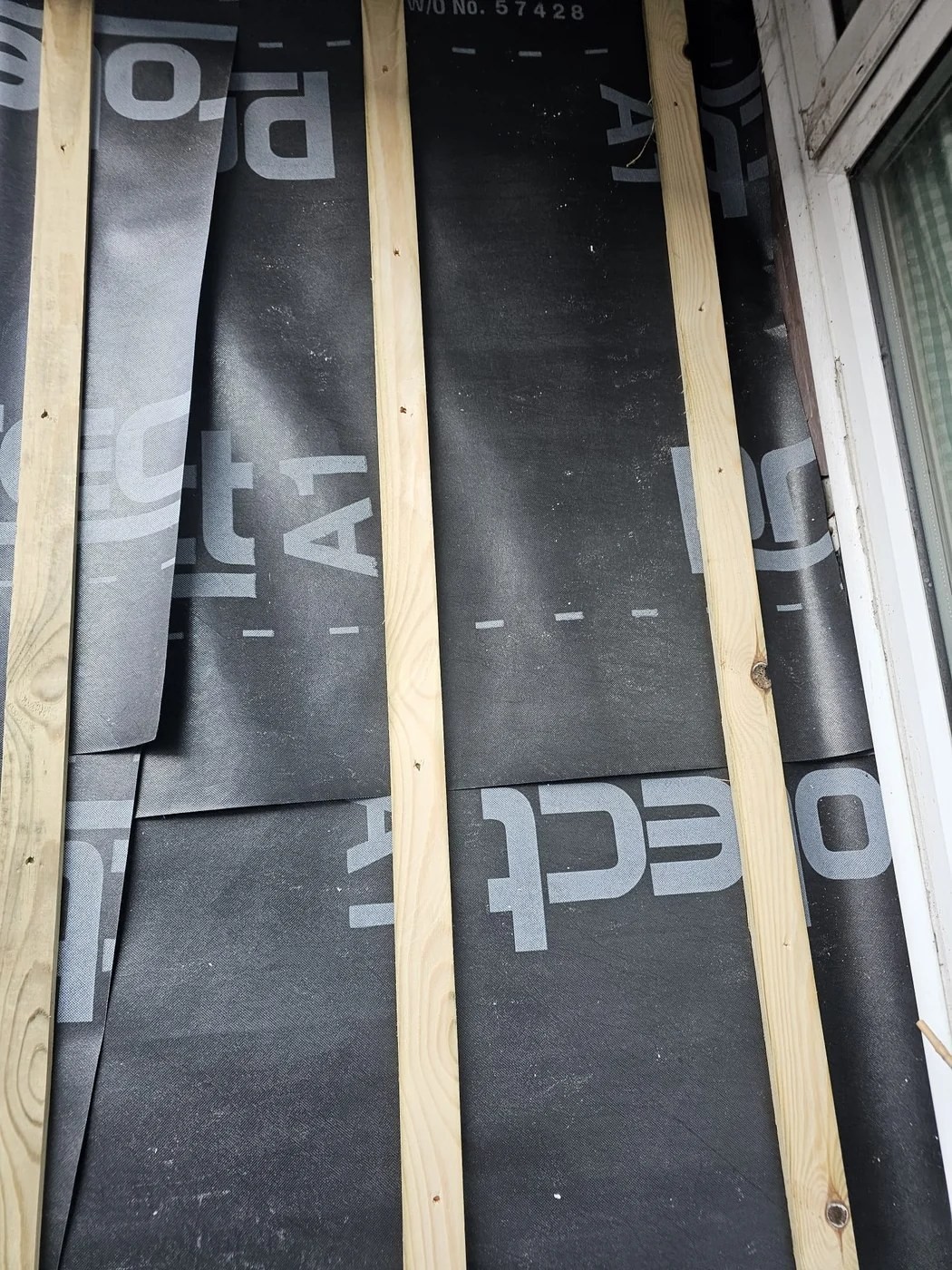 Project 1 membrane work
